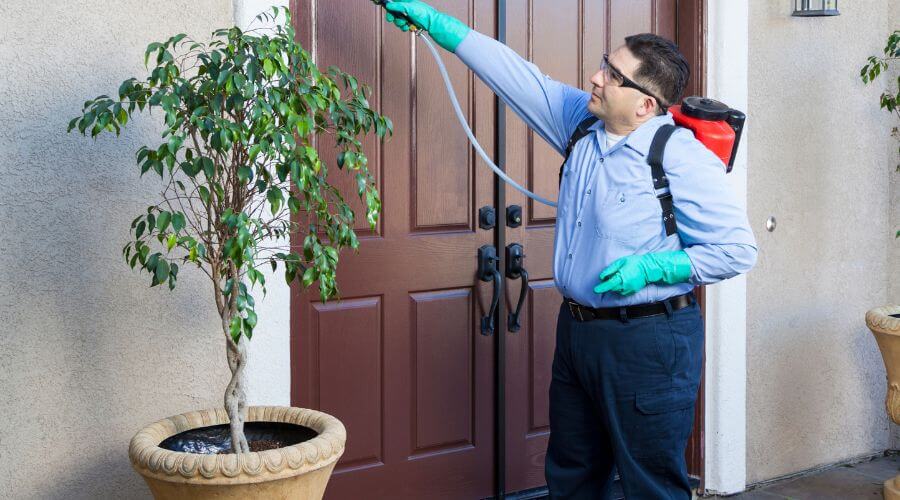 Why choose Bed Bug Heat Treatment Leicester for bed bug heat treatment in Leicester